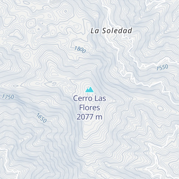 Map of Cerro Las Flores