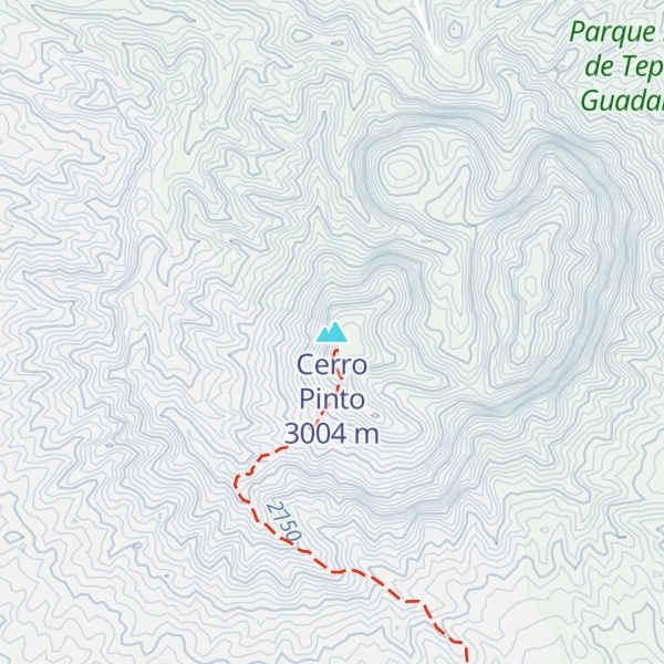 Map of Cerro Pinto