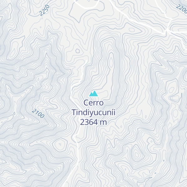 Map of Cerro Tindiyucuníi
