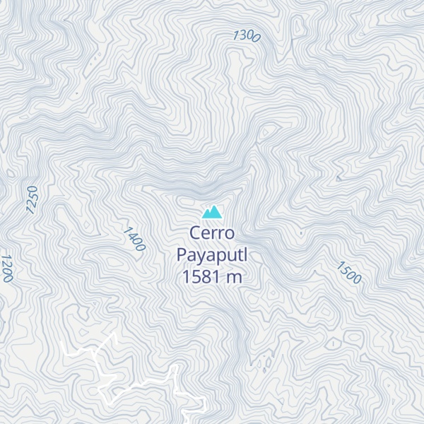 Map of Cerro Payaputl