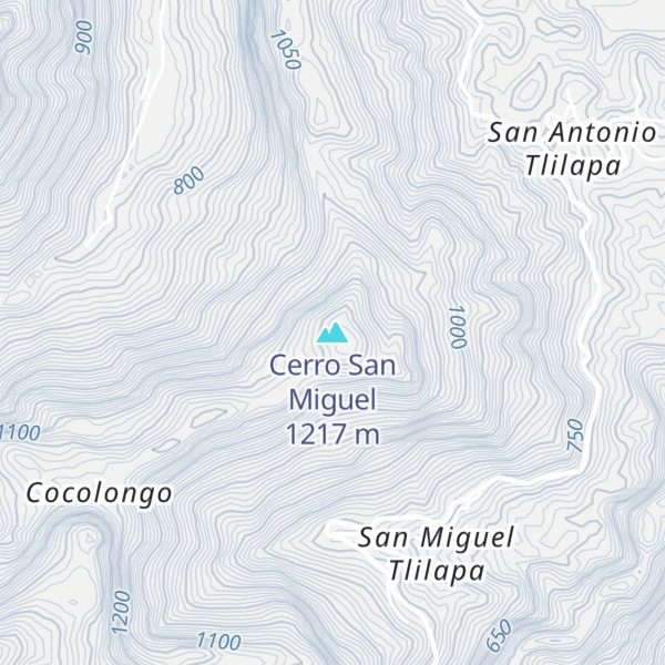 Map of Cerro San Miguel