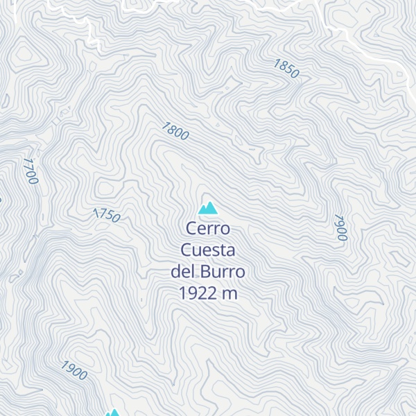 Map of Cerro Cuesta del Burro