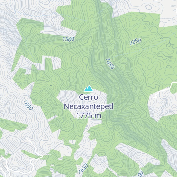 Map of Cerro Necaxantepetl
