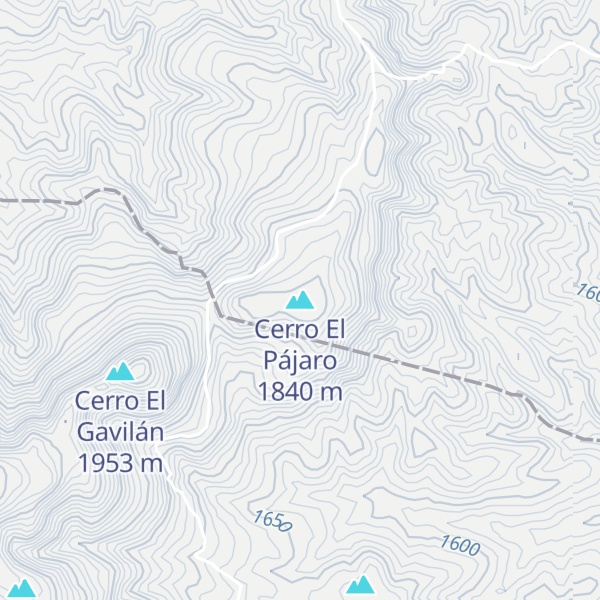 Map of Cerro El Pájaro