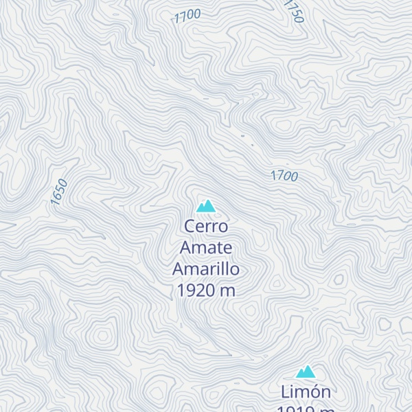 Map of Cerro Amate Amarillo