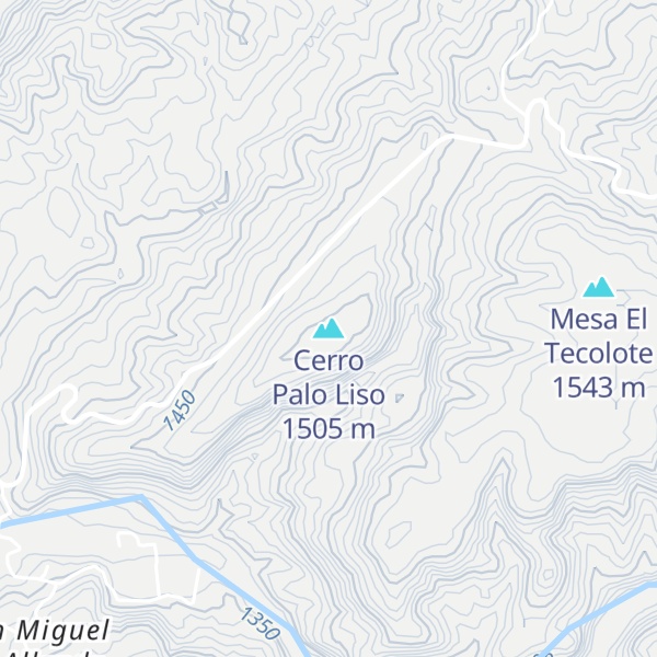 Map of Cerro Palo Liso