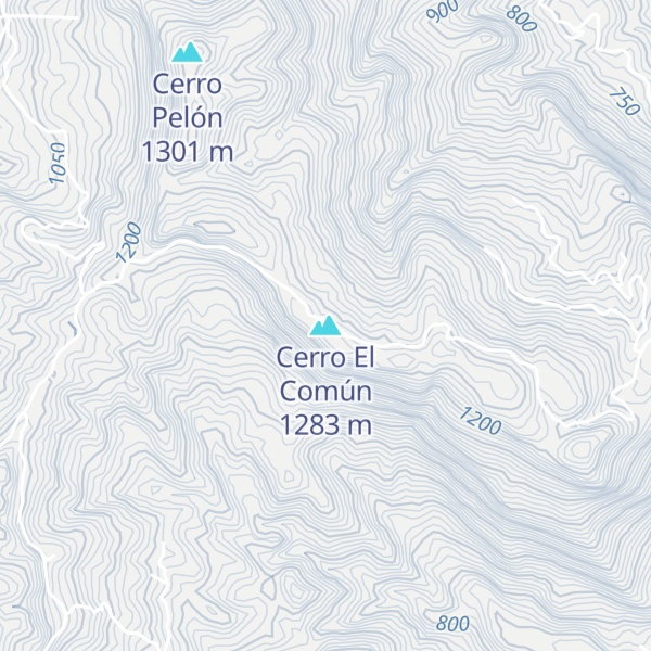 Map of Cerro El Común