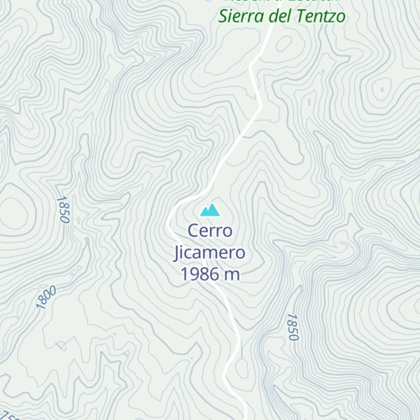 Map of Cerro Jicamero
