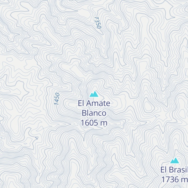 Map of El Amate Blanco