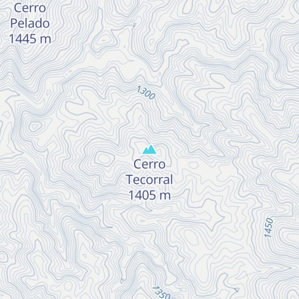 Map of Cerro Tecorral