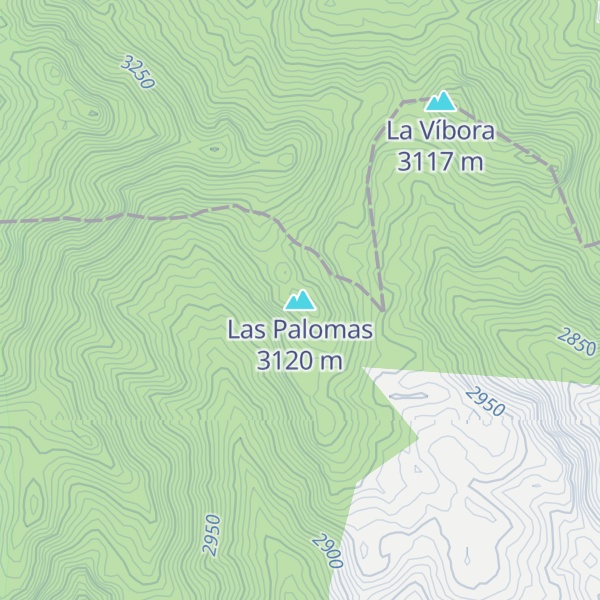 Map of Las Palomas
