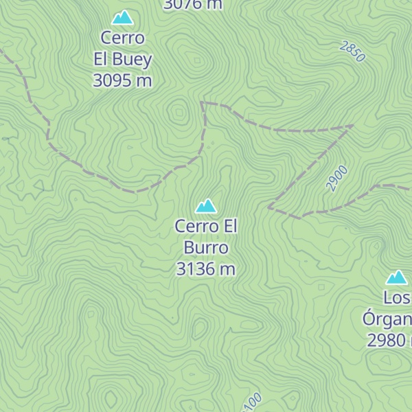 Map of Cerro El Burro
