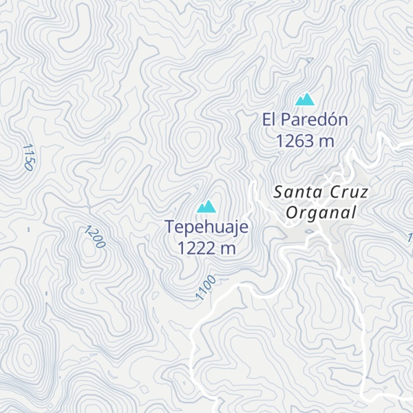 Map of Tepehuaje