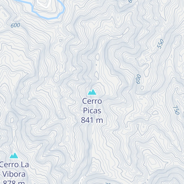 Map of Cerro Picas
