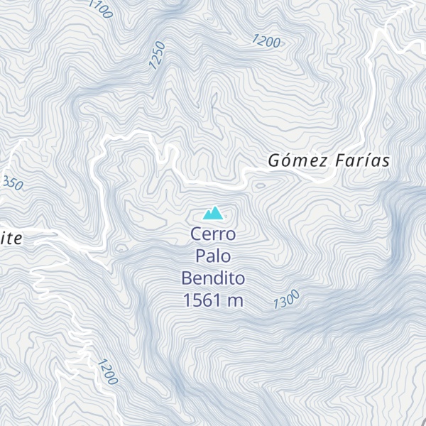 Map of Cerro Palo Bendito