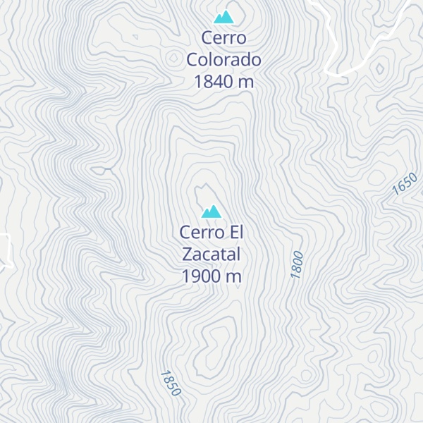 Map of Cerro El Zacatal