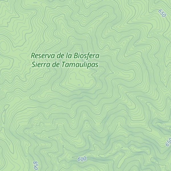 Map of Cerro Los Gajos