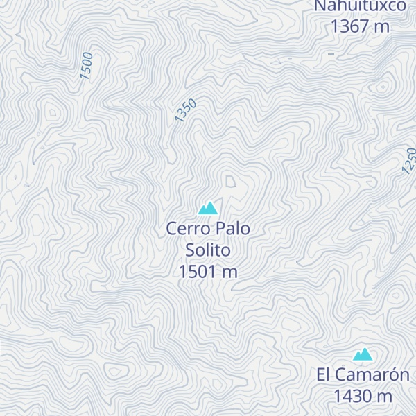 Map of Cerro Palo Solito