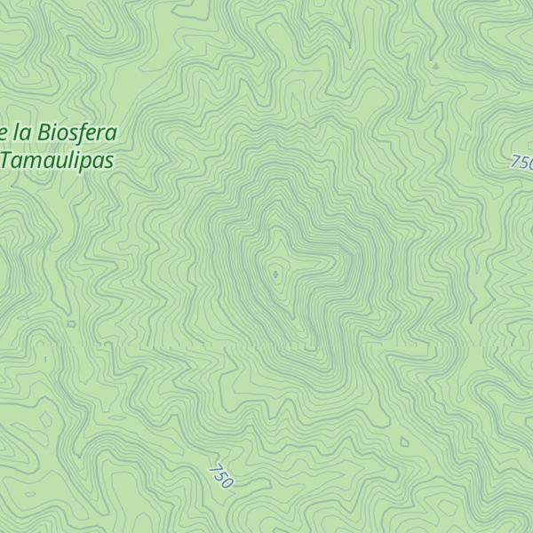 Map of Cerro El Pinoso