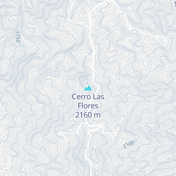 Map of Cerro Las Flores