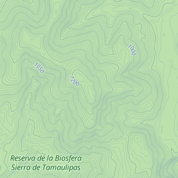 Map of Cerro del Carbajal