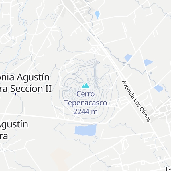 Map of Cerro Tepenacasco
