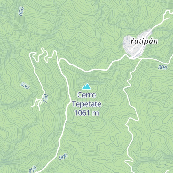 Map of Cerro Tepetate