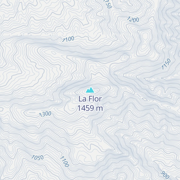 Map of La Flor
