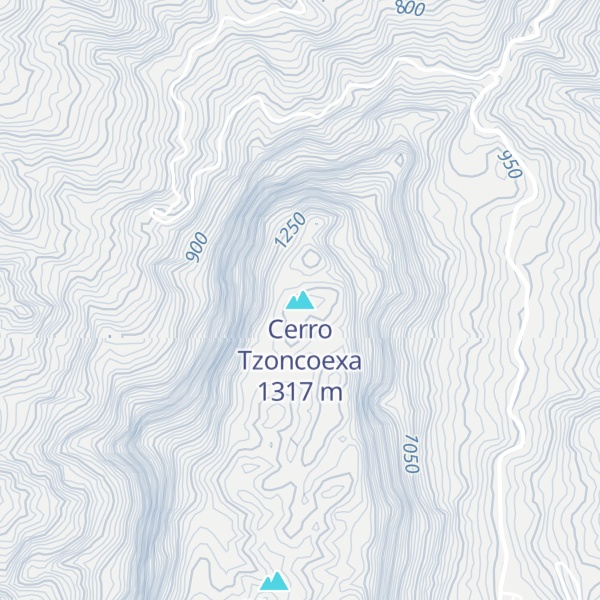 Map of Cerro Tzoncoexa