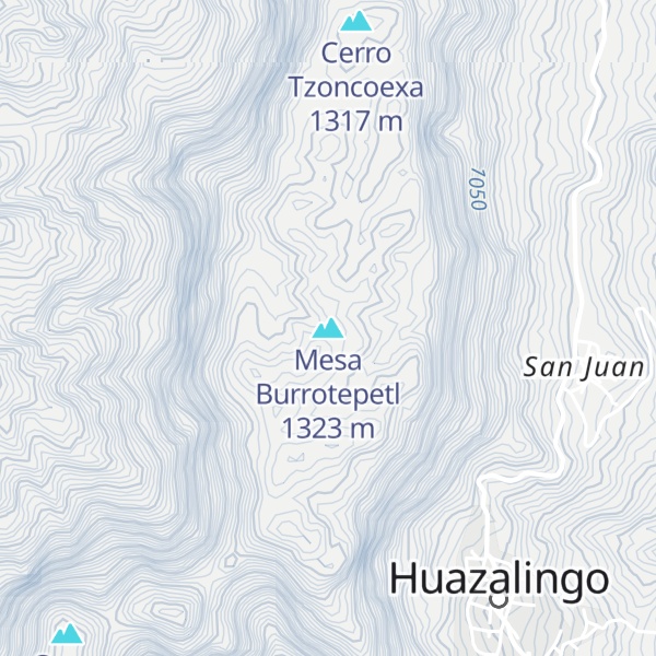 Map of Mesa Burrotepetl