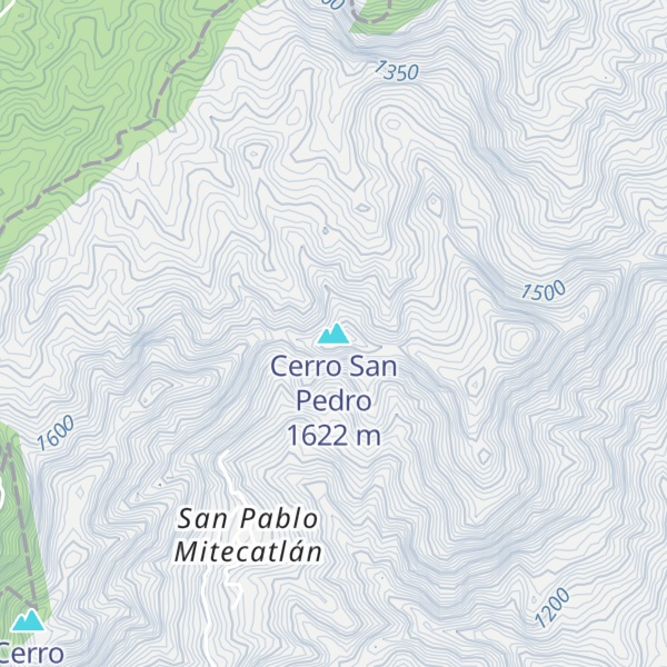 Map of Cerro San Pedro