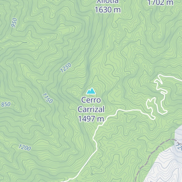 Map of Cerro Carrizal