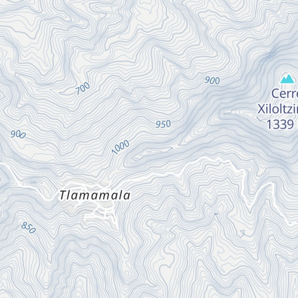 Map of Cerro San Miguel