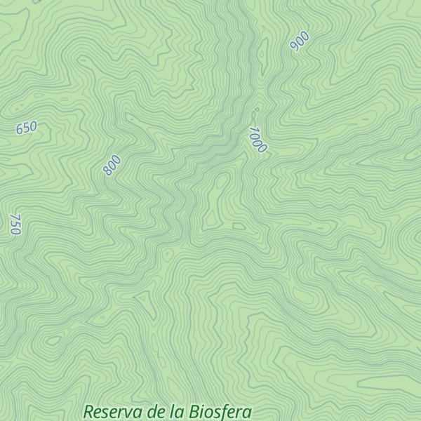 Map of Cerro El Picacho