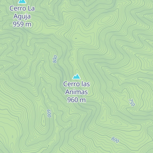 Map of Cerro las Animas