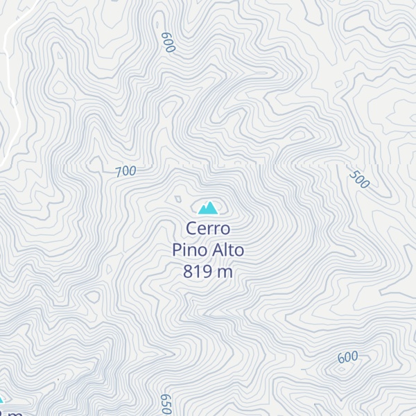 Map of Cerro Pino Alto