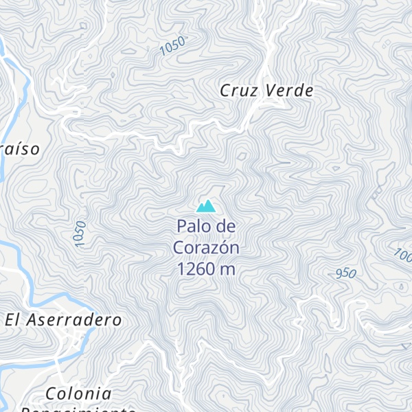 Map of Palo de Corazón