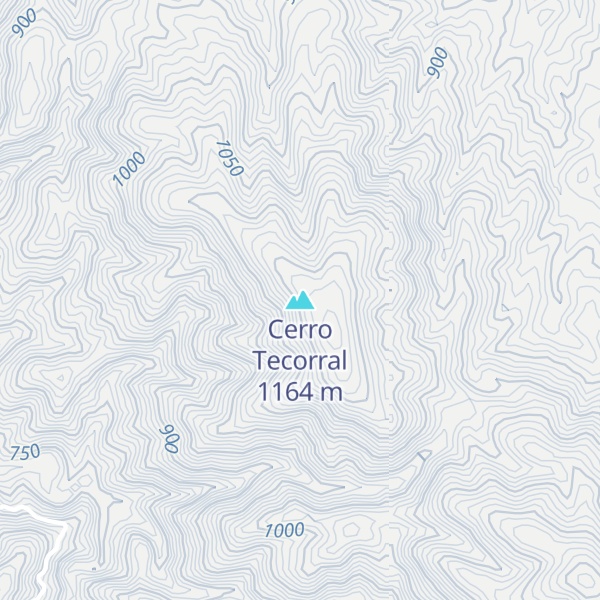 Map of Cerro Tecorral