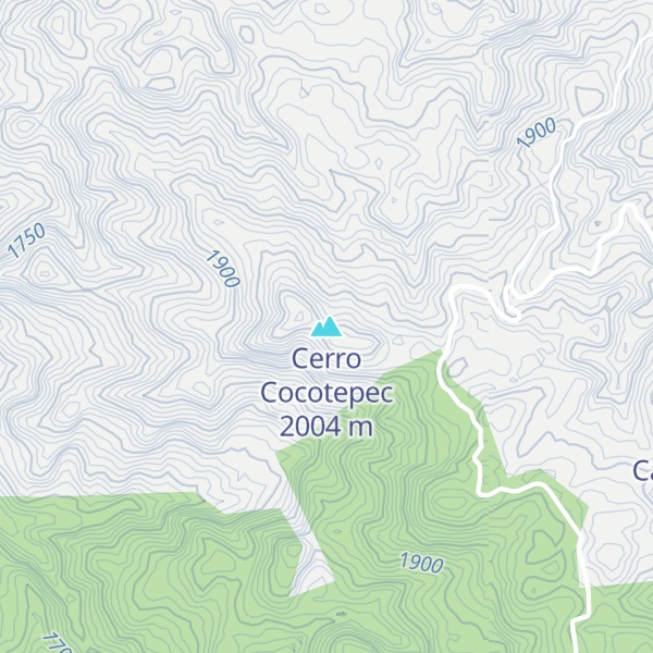 Map of Cerro Cocotepec