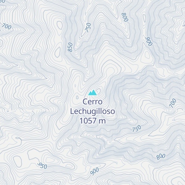 Map of Cerro Lechugilloso