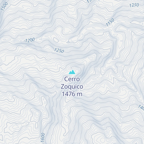 Map of Cerro Zoquico