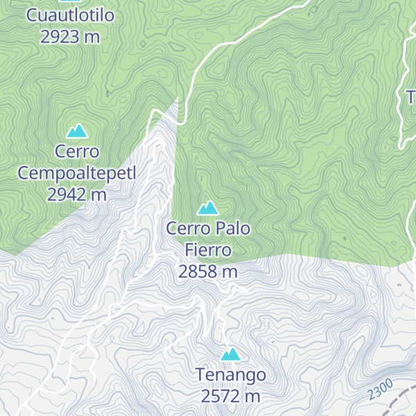 Map of Cerro Palo Fierro