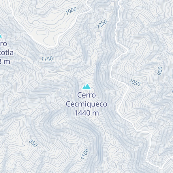 Map of Cerro Cecmiqueco