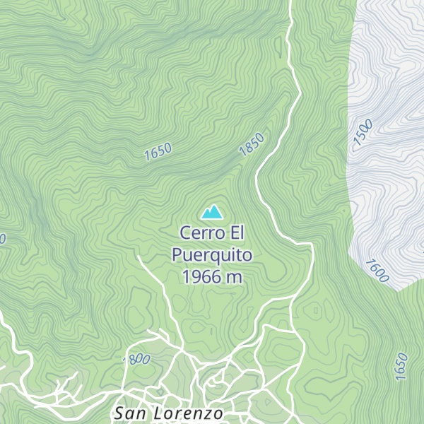 Map of Cerro El Puerquito