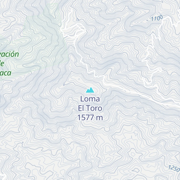 Map of Loma El Toro