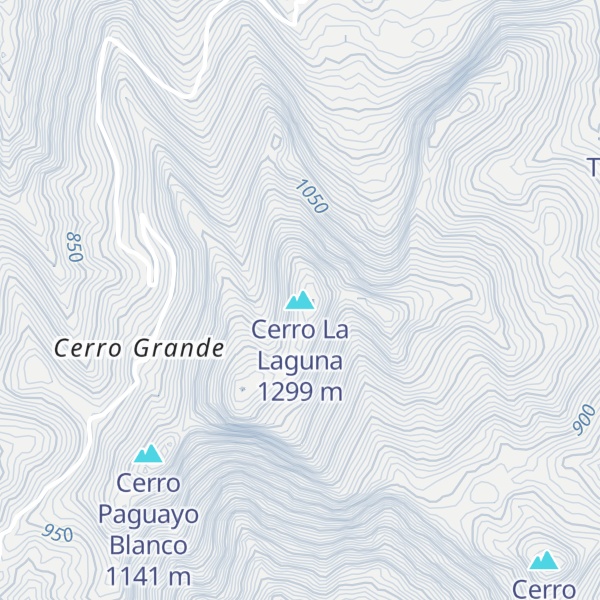 Map of Cerro La Laguna