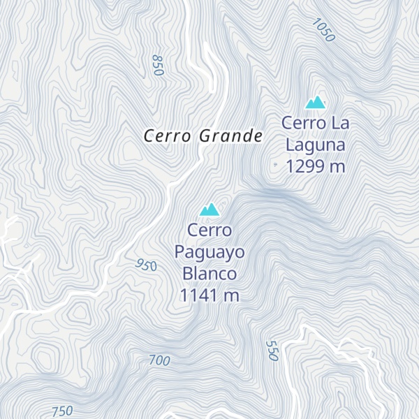 Map of Cerro Paguayo Blanco