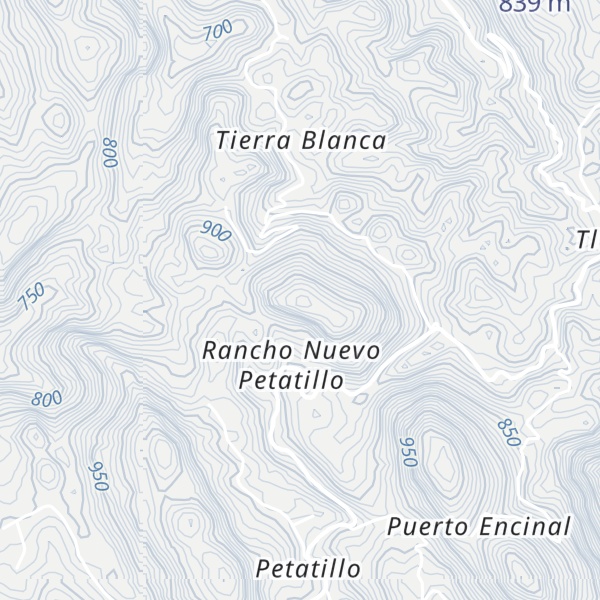Map of Cerro Paguayito