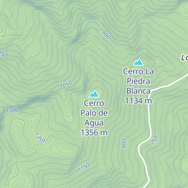 Map of Cerro Palo de Agua