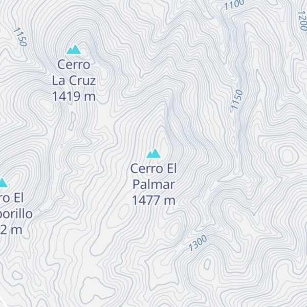 Map of Cerro El Palmar